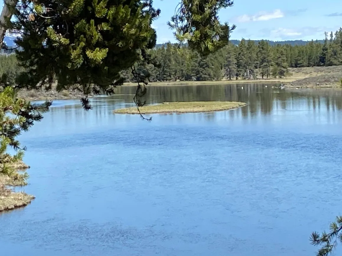 Harriman State Park summer lake view in Island Park Idaho