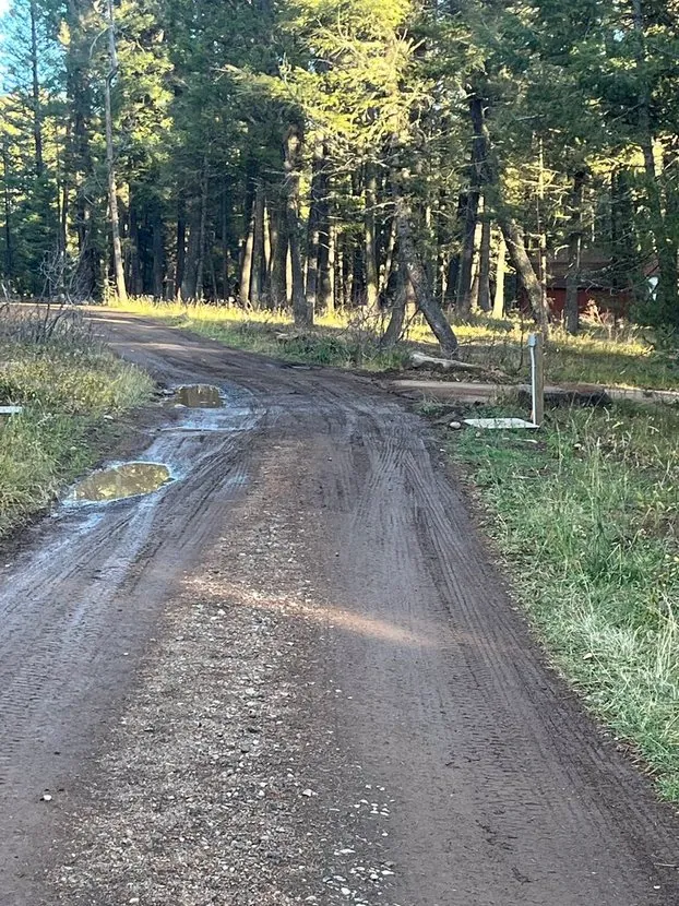 Scenic road through lodgepole pine forest in Island Park Idaho