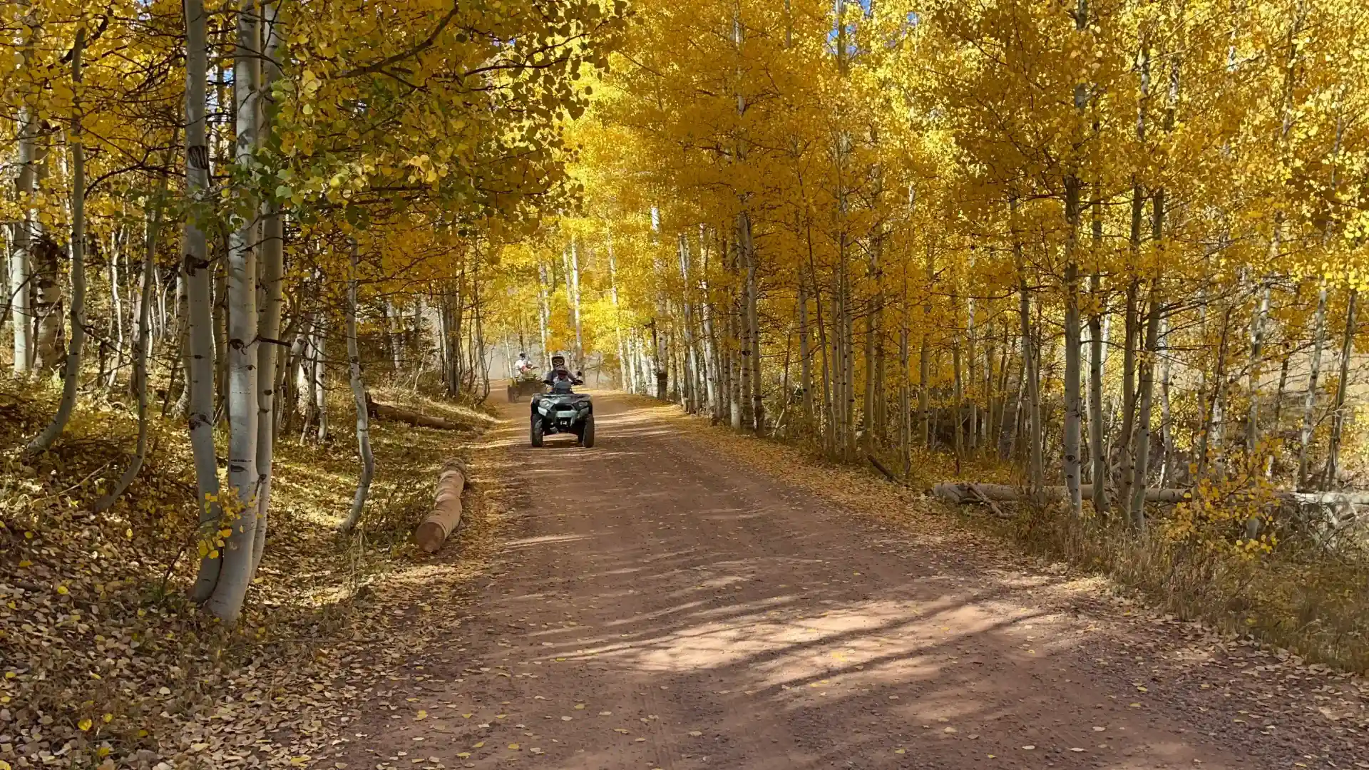ATV riding through aspen groves in Island Park Idaho