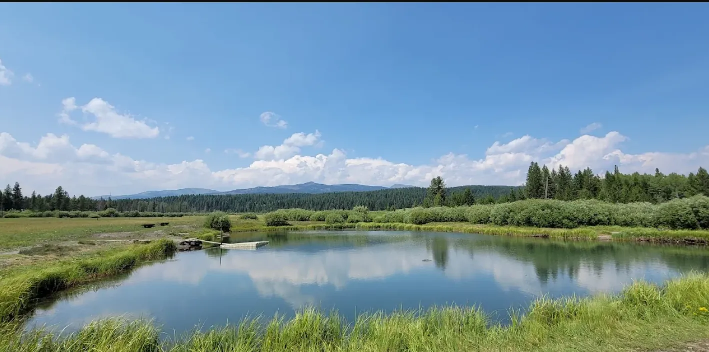 Stoddard Mill Pond calm water for kids fishing