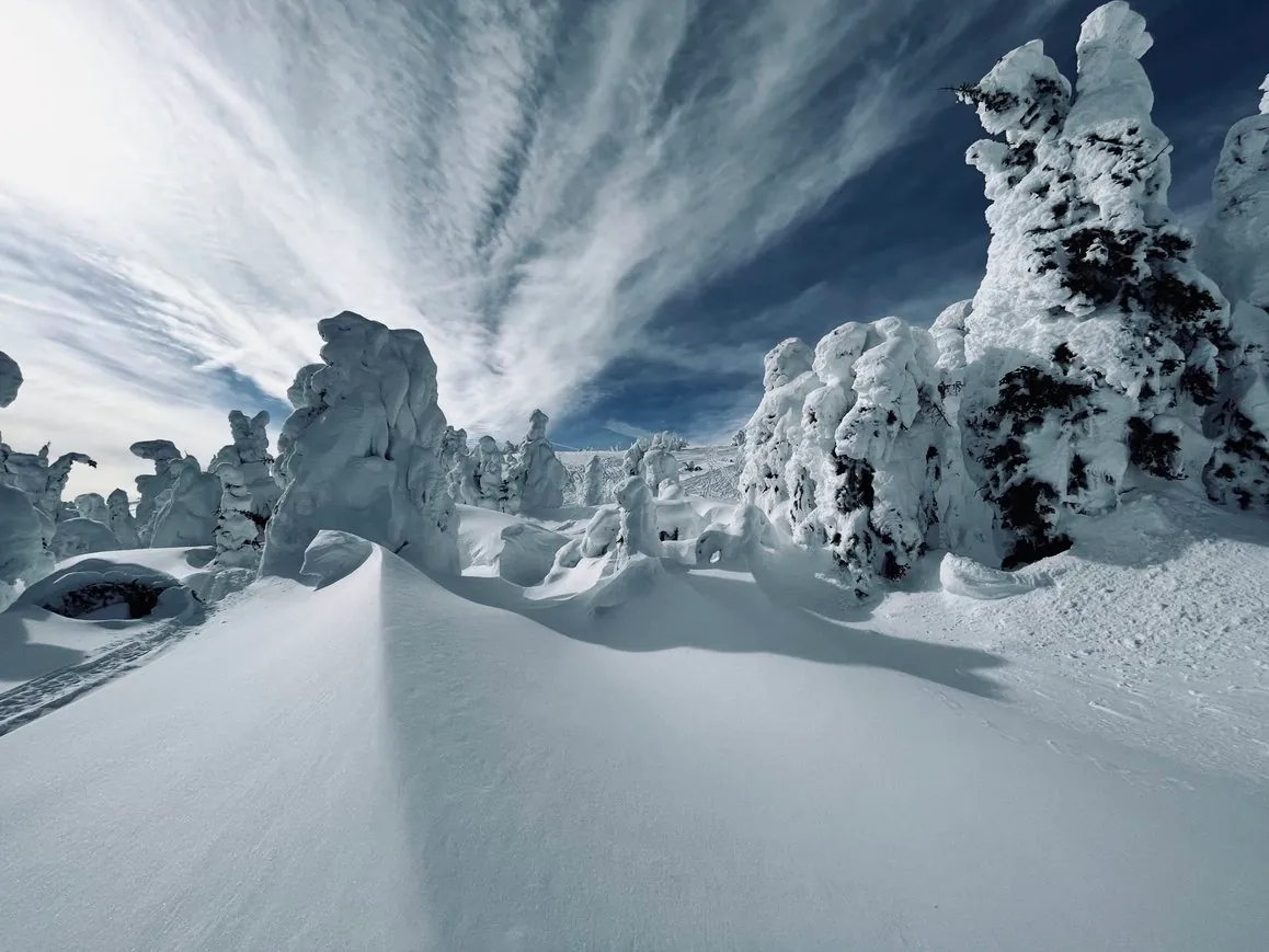 Snow ghost formations on Two Top Mountain near Island Park Idaho in winter