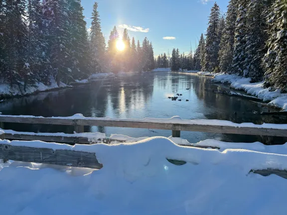The bridge at Big Springs offers a picturesque vantage point over crystal-clear spring waters