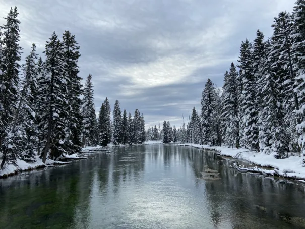 In winter, the Big Springs bridge is framed by snow-dusted trees and icy banks