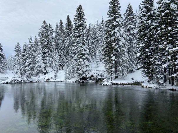 Big Springs in Island Park, Idaho — crystal-clear water gushes from volcanic springs