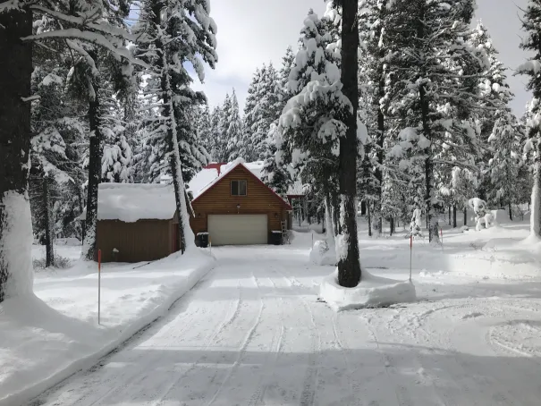 Lodgepole Pines Retreat cabin in winter surrounded by snow and pine trees