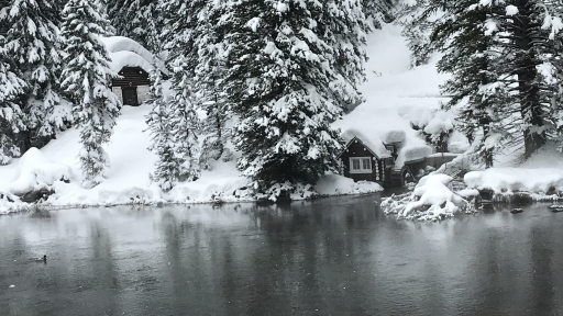 Scenic views near Island Park, Idaho with pine forests and mountain backdrop