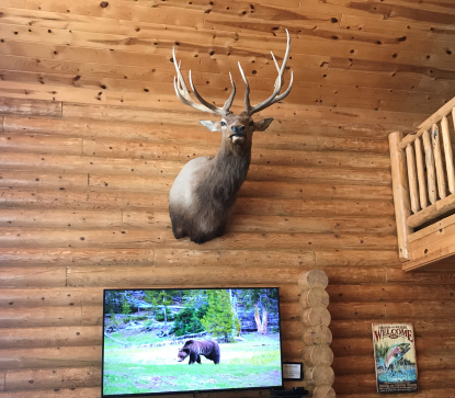 Spacious living room with stunning mountain views and 2.5-story windows with 65-inch Smart TV