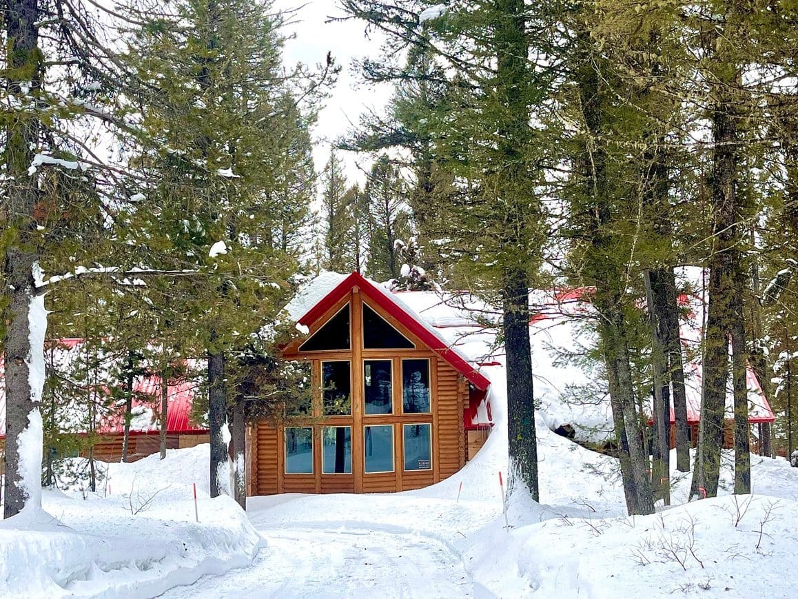 Lodgepole Pines Retreat in deep winter snow