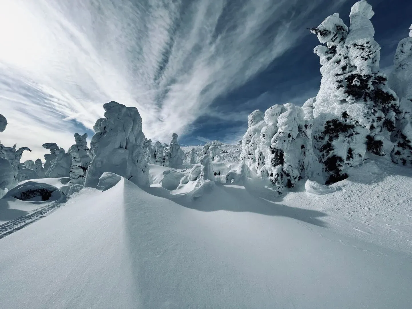 Snow ghosts at Two Top Mountain — wind-shaped trees coated in heavy rime ice near Island Park