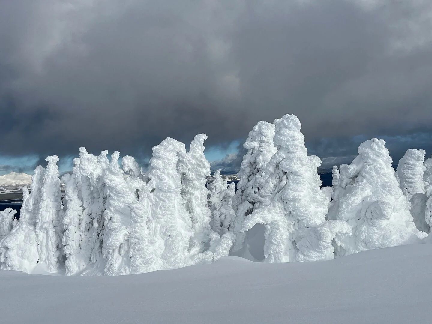 Two Top Mountain's wind-sculpted trees draped in rime ice against a vivid blue sky