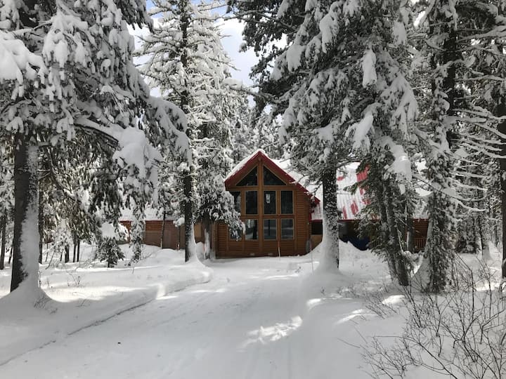 Snow-covered cabin in winter wonderland
