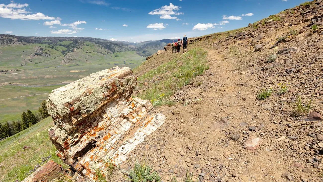 Hikers on Specimen Ridge with panoramic views of Yellowstone's backcountry