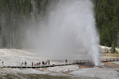 Beehive Geyser erupting with visitors watching from the boardwalk