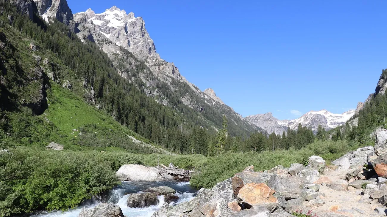 Cascade Canyon trail with dramatic mountain walls and meadows in Grand Teton