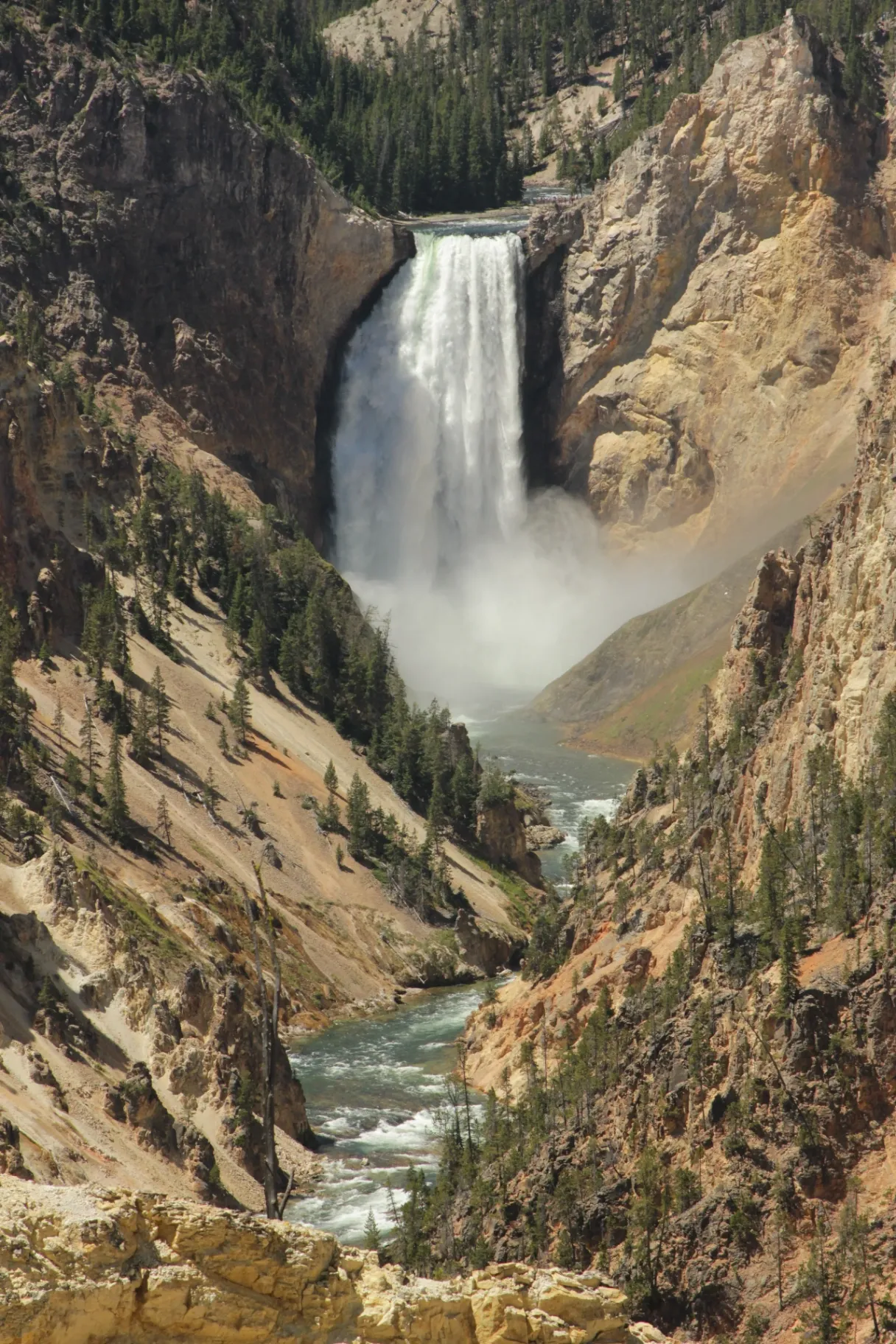 Lower Falls of the Grand Canyon of the Yellowstone in spring with high water flow