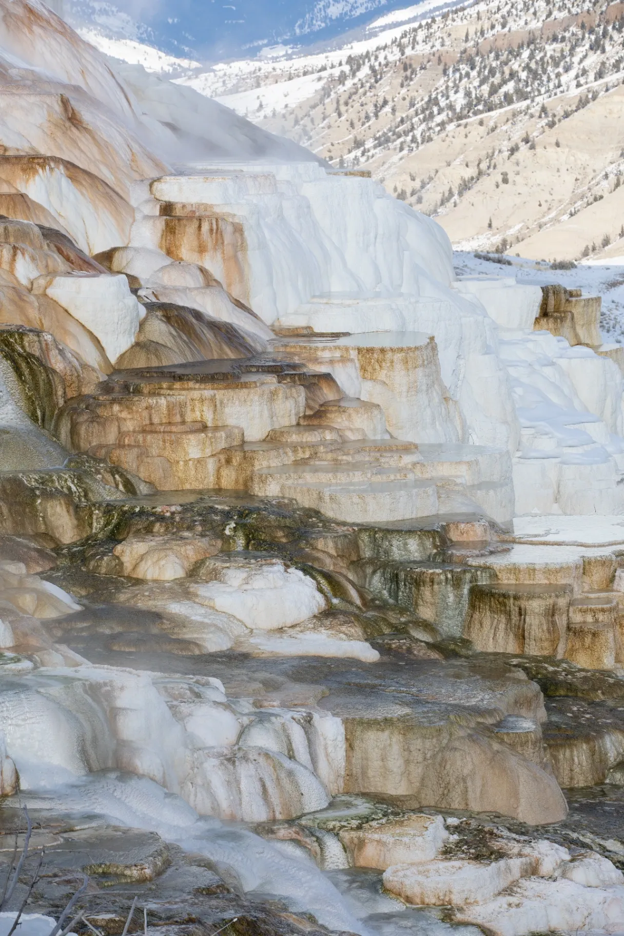 Mammoth Hot Springs cascading thermal water