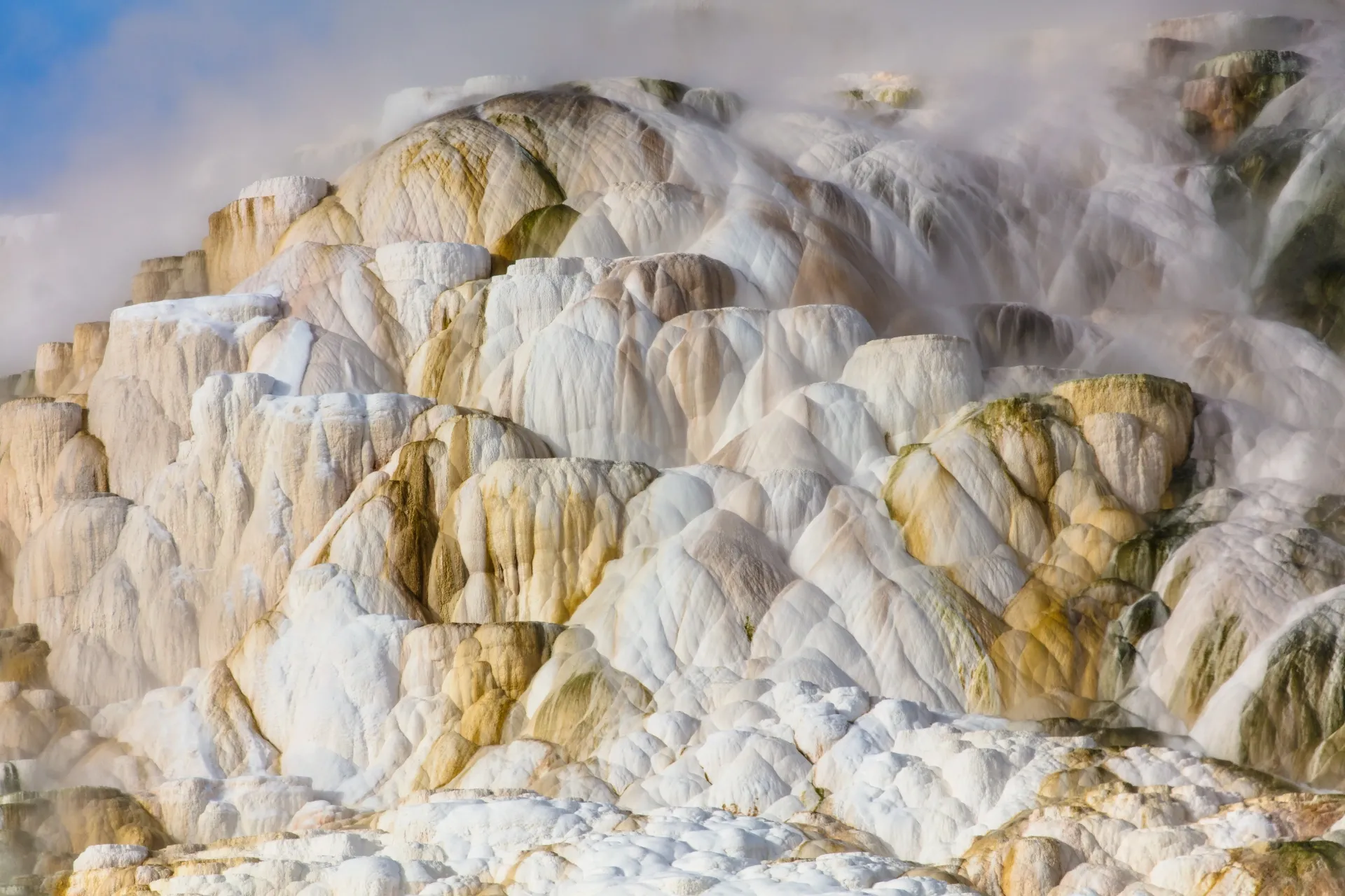 Mammoth Hot Springs terraces in Yellowstone National Park