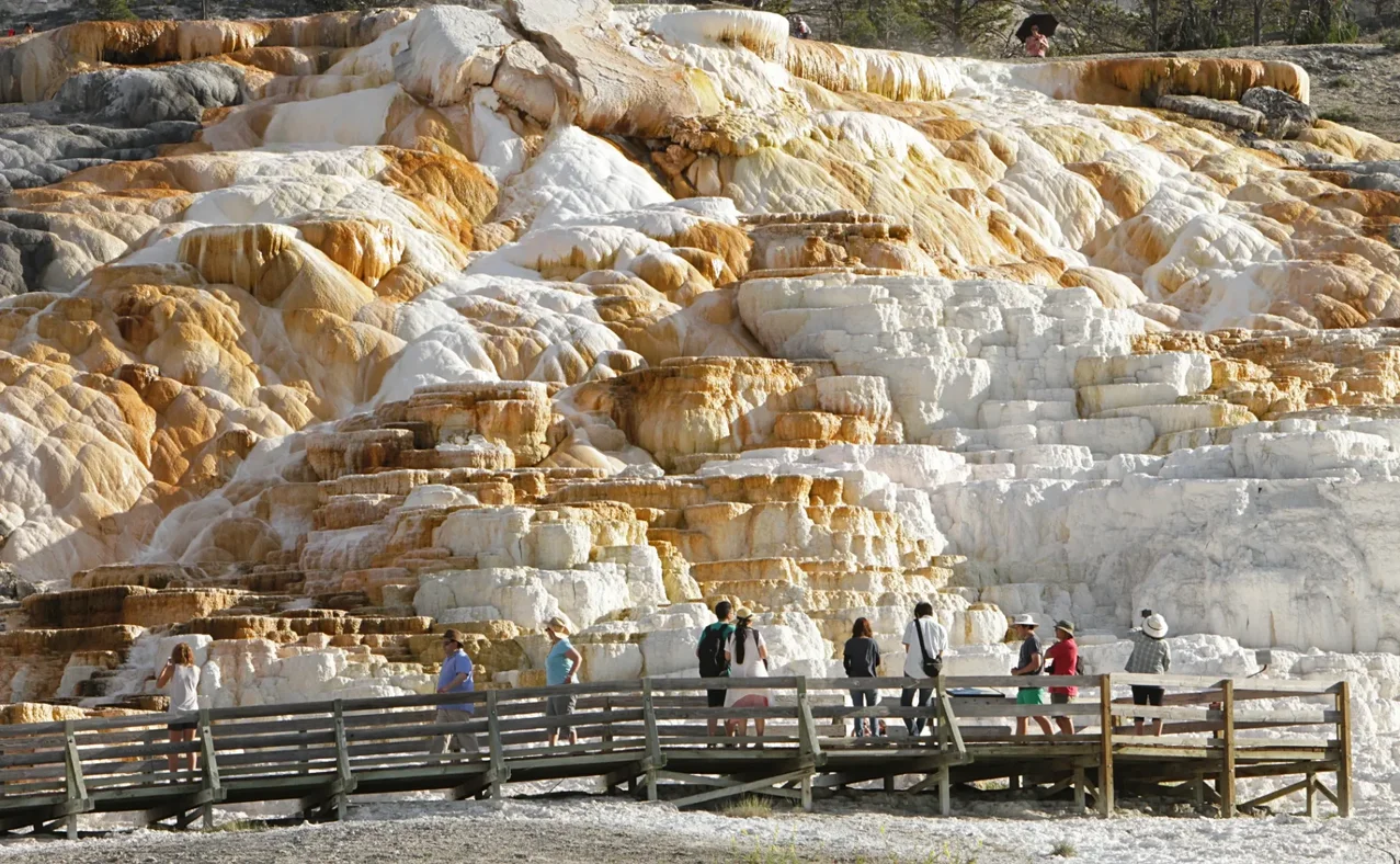 Mammoth Hot Springs terraces