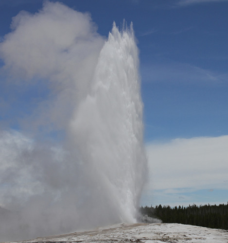 Close-up of Old Faithful Geyser erupting with steam and boiling water