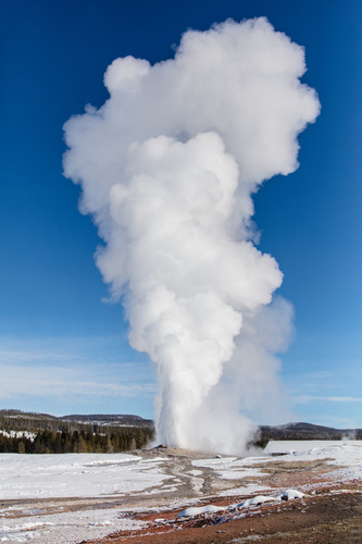 Old Faithful erupting