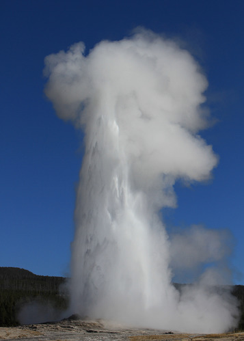 Old Faithful Geyser erupting against a blue sky in Yellowstone National Park
