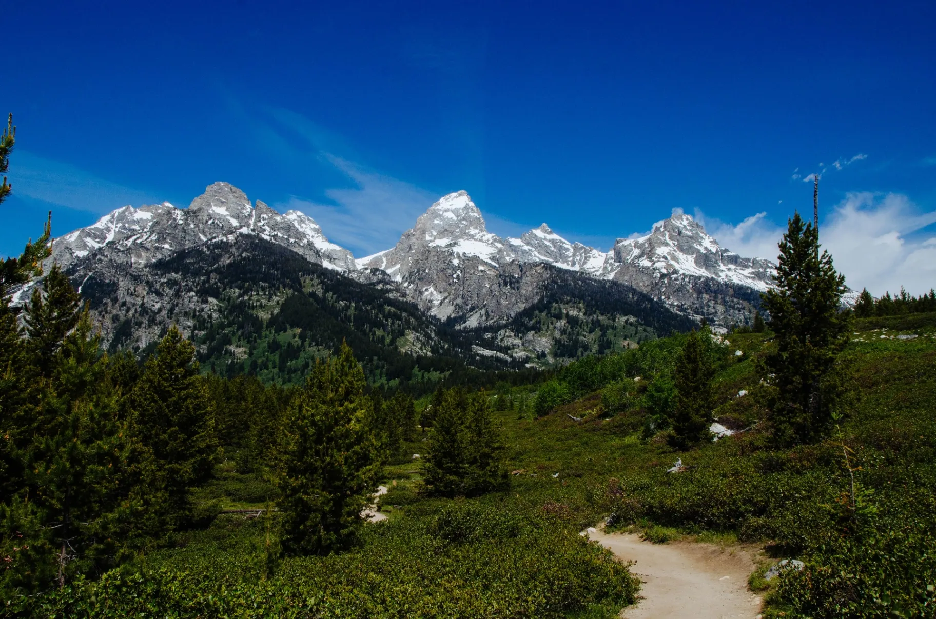 Family hiking the Taggart Lake trail in Grand Teton