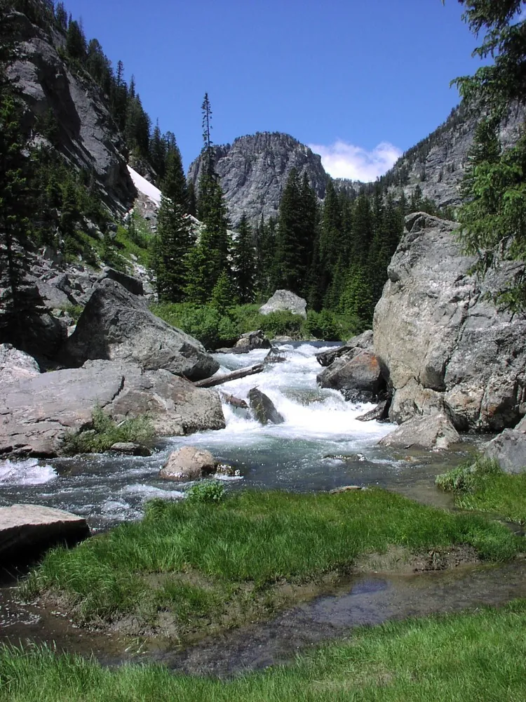 Creek in Death Canyon