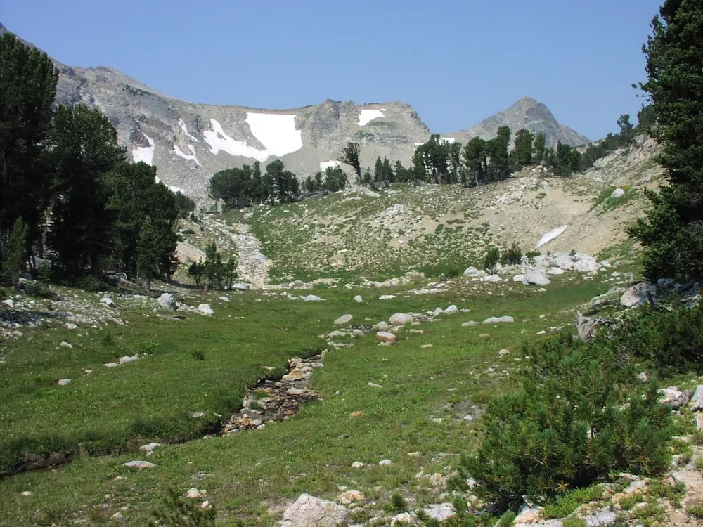 Paintbrush Canyon meadow with creek