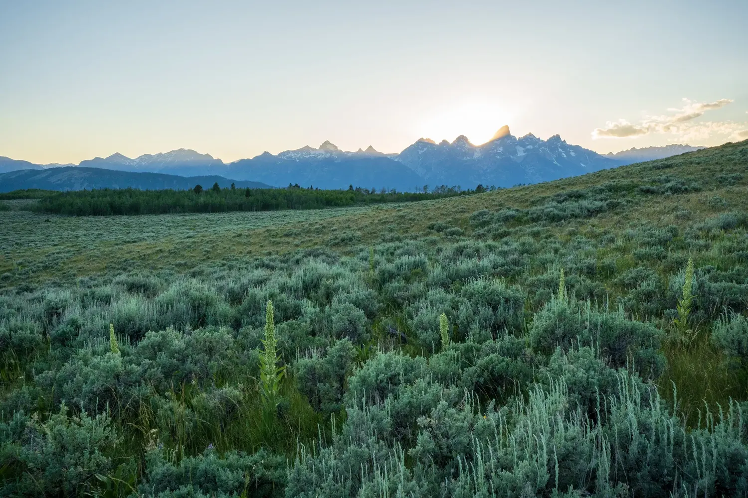 Teton Range from Kelly Parcel