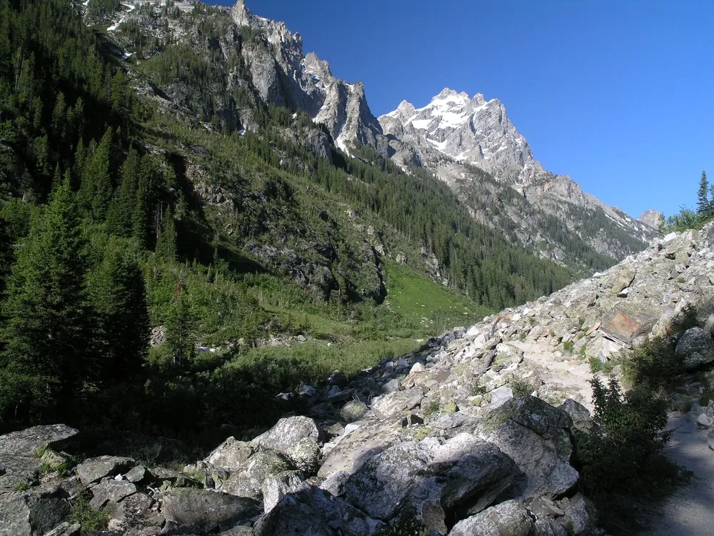 Canyon trail with Cathedral Group