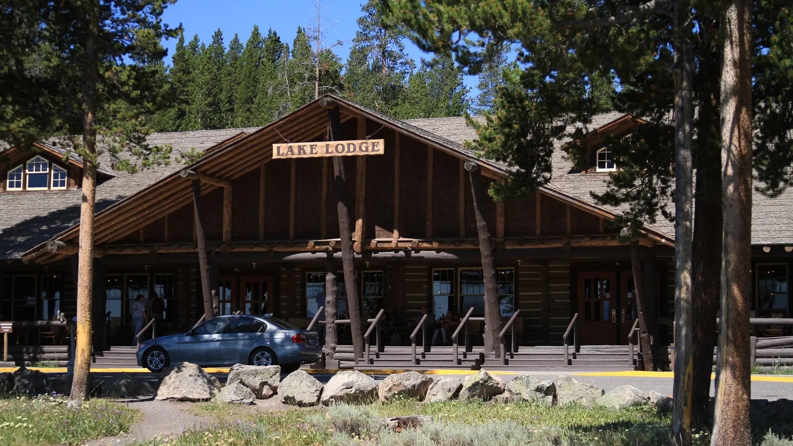 Lake Lodge Cabins set among lodgepole pines near Yellowstone Lake