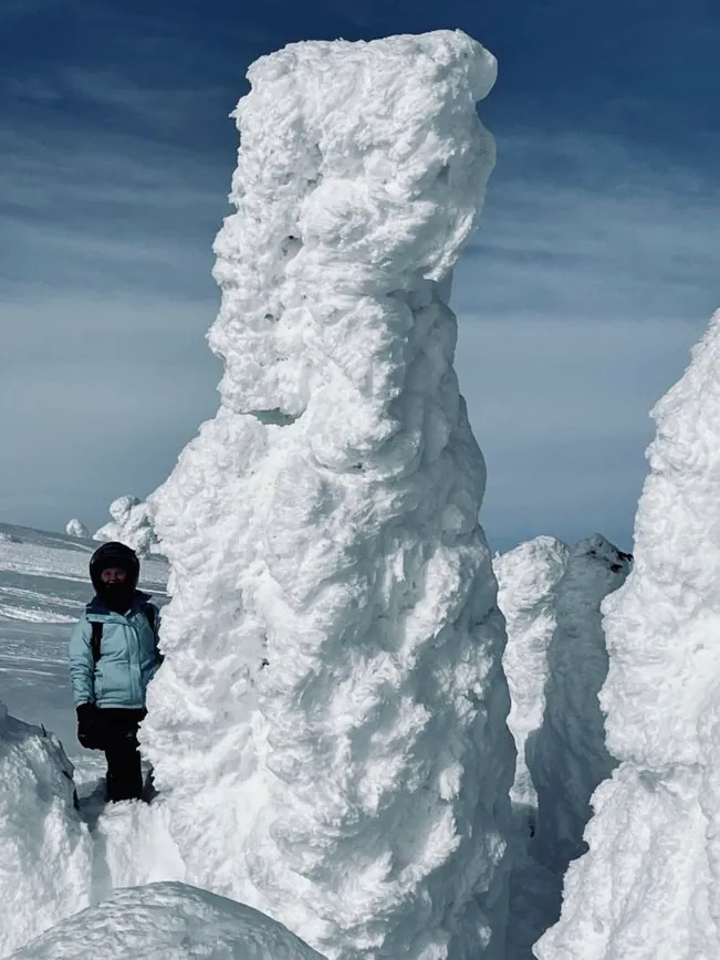 Large snow ghost tree formation