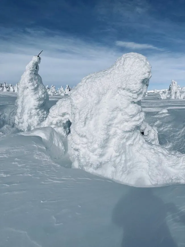Snow ghost resembling a fantastical character