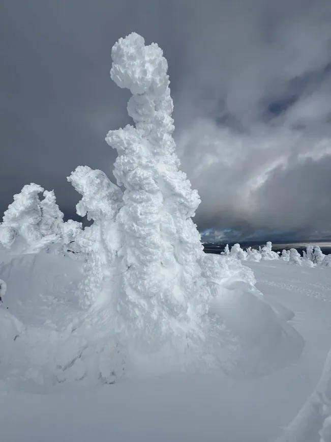 Extremely tall snow ghost on Two Top Mountain