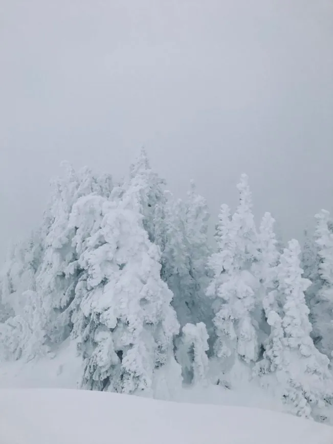 Snow ghosts in whiteout conditions