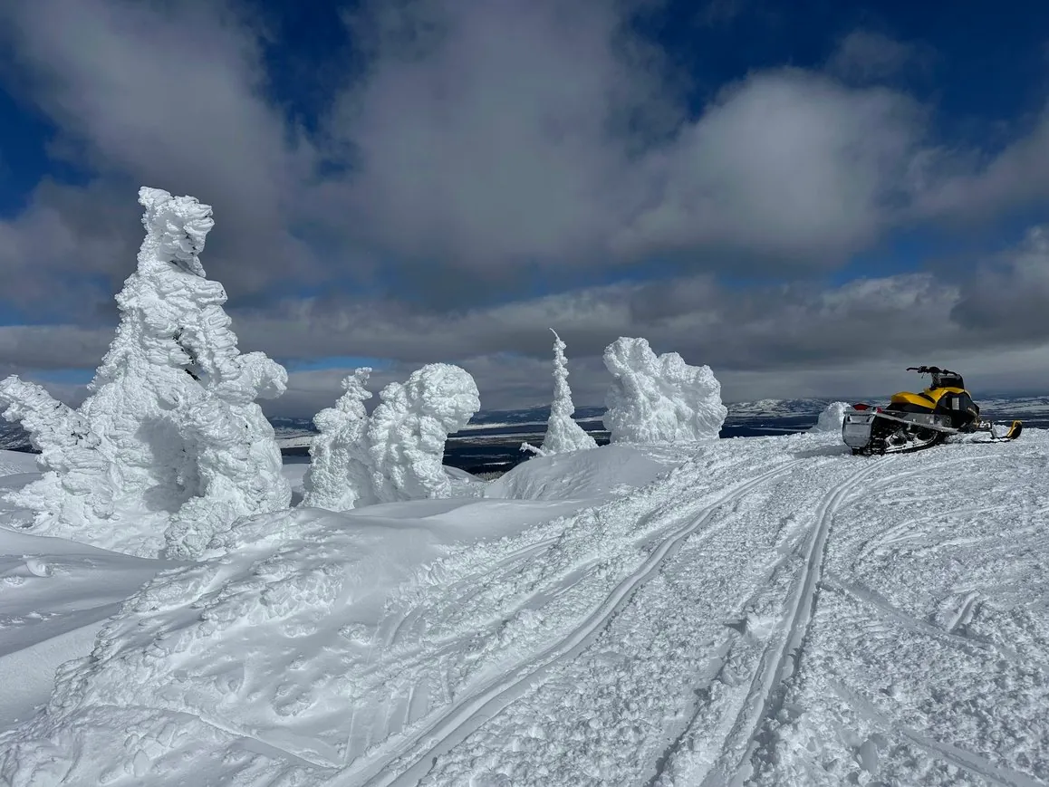 Snowmobile trails through snow ghosts