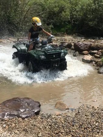 Mountain biking on a forest trail in Island Park